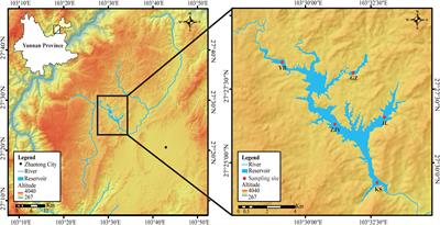 Phytoplankton control by stocking of filter-feeding fish in a subtropical plateau reservoir, southwest China